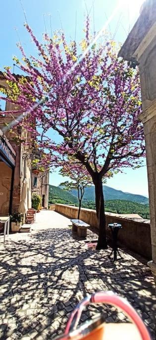 Villa Relax Nell' Antico Borgo Casperia Exterior foto